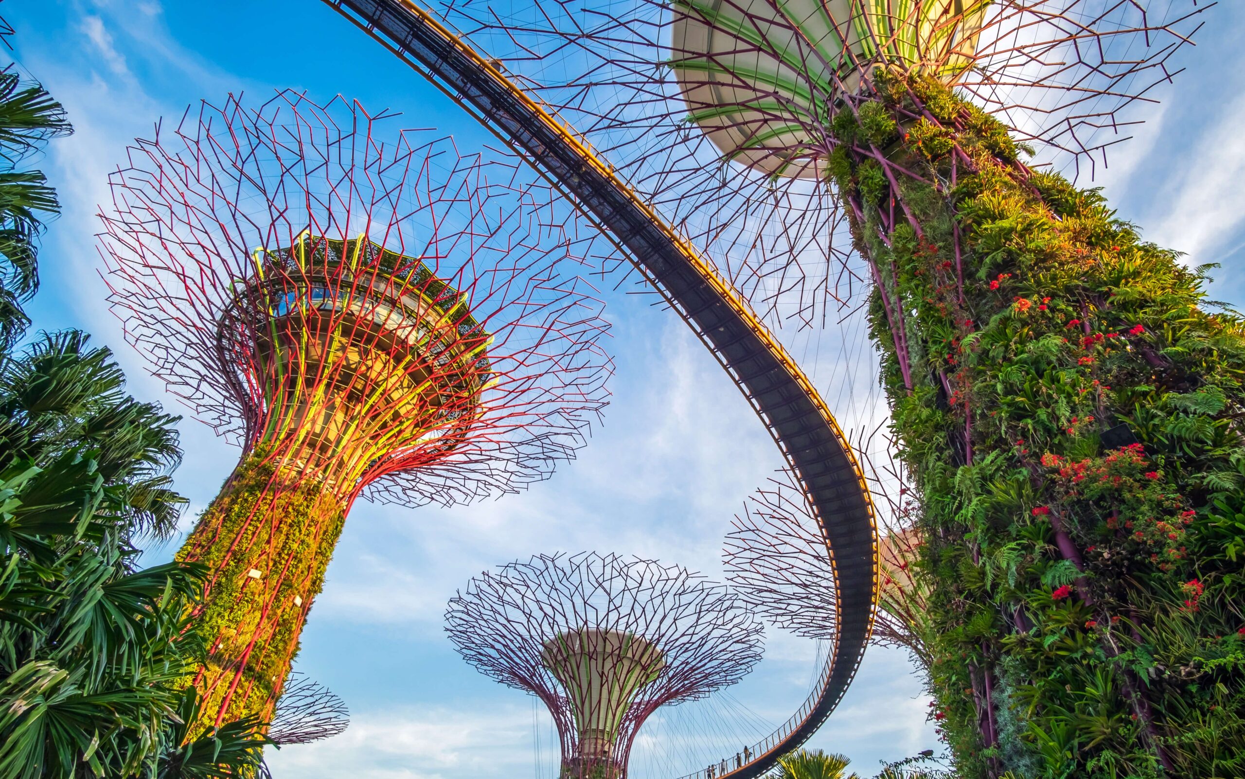 Reasons Why You Should Visit Singapore